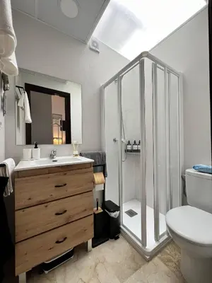 a bathroom with a shower and a sink and a toilet at CARPE DIEM in Jerez de la Frontera