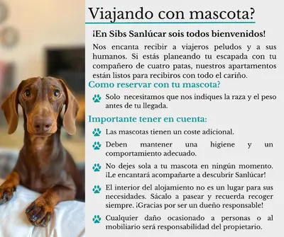 a picture of a dog with a sign that says vita submitter sos at SIBS Sanlúcar Guadalquivir 2 Coqueto Ideal Parejas in Sanlúcar de Barrameda