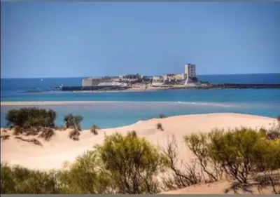 a beach with a body of water and trees at Apartamento Pinar del Atlántico La Barrosa in Chiclana de la Frontera