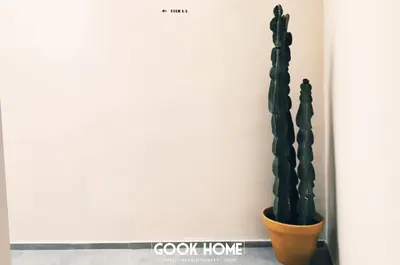 a cactus in a pot next to a wall at LalaSuites ARENAL in Jerez de la Frontera