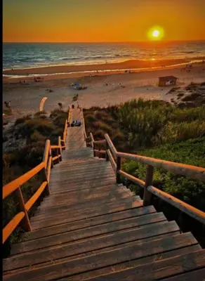 a wooden boardwalk leading to the beach at sunset at Bonito y confortable apartamento Novo Sancti Petri Barrosa Chiclana Cadiz in Chiclana de la Frontera