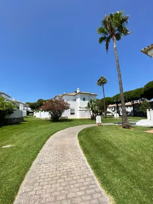 a brick walkway in a yard with a palm tree at Apartamento pinar del atlántico in Chiclana de la Frontera