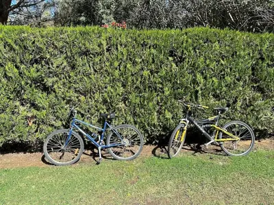 two bikes are parked next to a hedge at Adosado La Loma en Novo Sancti Petri in Chiclana de la Frontera