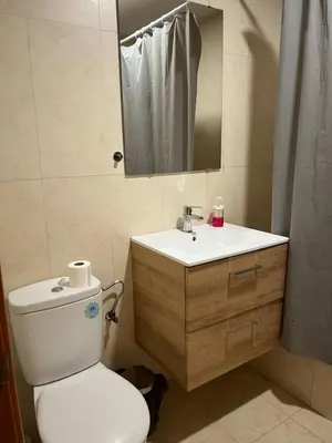 a bathroom with a toilet and a sink and a mirror at Disfruta Jerez in Jerez de la Frontera