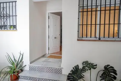 a hallway with potted plants in front of a door at GINVA - Apartamento en pleno centro 2 in El Puerto de Santa María