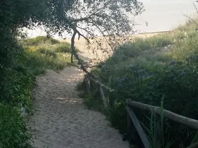 a sandy path to the beach with a fence at Apartamento Crucero 2, la Jara in Sanlúcar de Barrameda