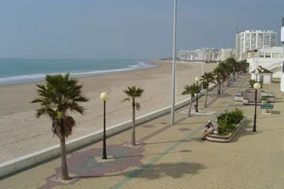 a beach with palm trees and a person sitting on a bench at Casa Las Golondrinas in Rota
