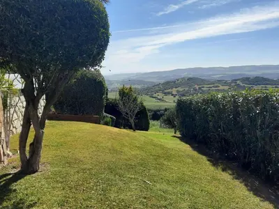 a tree in the middle of a field of grass at »Casa Conil Buena Vista« in Conil de la Frontera
