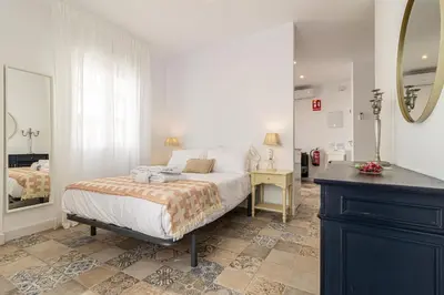 a bedroom with a bed and a dresser and a mirror at Casa Palacio La Lola y Olé Gran Terraza in Jerez de la Frontera