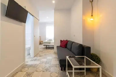 a living room with a couch and a tv at Casa Palacio La Lola y Olé Gran Terraza in Jerez de la Frontera