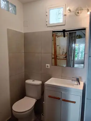 a bathroom with a toilet and a sink and a mirror at Casa Florinda #4 in Jerez de la Frontera