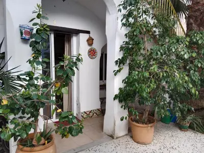 a room with a bunch of potted plants and a door at Casa Florinda #4 in Jerez de la Frontera