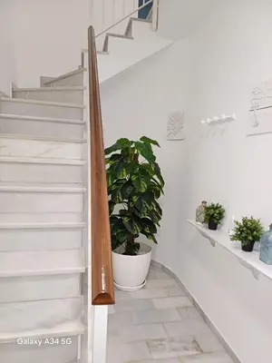 a stairway with a plant in a pot at Brisas del Guadalquivir in Sanlúcar de Barrameda