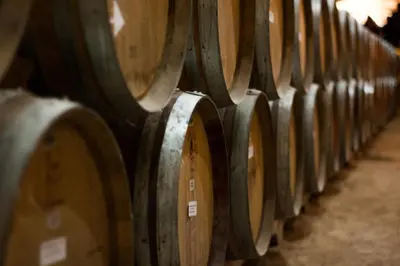 a row of wine barrels in a wine cellar at Apartamento Langreo in Jerez de la Frontera