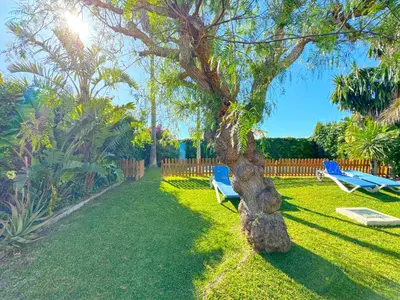 a tree in a yard with two blue chairs at Villa Buganvilla Conil - SOLO FAMILIAS in Conil de la Frontera
