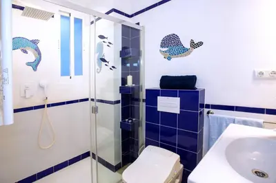 a bathroom with a shower and a toilet and a sink at Cadizz - El Faro del Manteca - Terraza privada barrio de la Viña - La Caleta in Cádiz