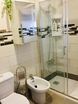 a bathroom with a shower and a toilet and a sink at Casa con vistas en Arcos in Arcos de la Frontera