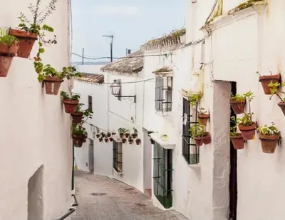 an alley with potted plants on the side of buildings at Casa con vistas en Arcos in Arcos de la Frontera
