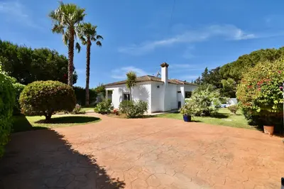 a house with a palm tree and a driveway at Leonita in Chiclana de la Frontera