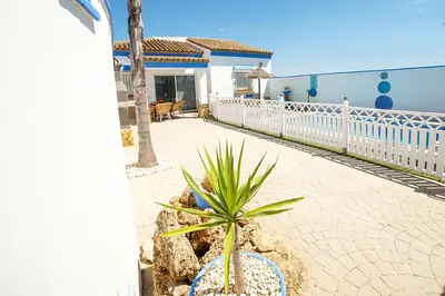 a potted plant sitting on a sidewalk in front of a house at VILLA YUCA CON PISCINA PRIVADA en CONIL DE LA FRONTERA in Conil de la Frontera