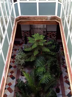 a hallway with a bunch of plants in a building at Ático con terraza privada en casa Palacio del Centro Histórico in El Puerto de Santa María