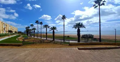 a park with benches and palm trees and the beach at Apartamento playa y centro de Puerto Real - AC - WiFi in Puerto Real