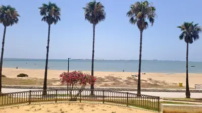 a view of a beach with palm trees and the ocean at Apartamento playa y centro de Puerto Real - AC - WiFi in Puerto Real