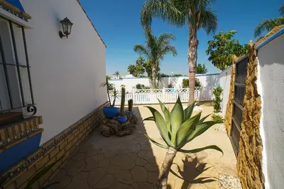 a patio with a fence and a palm tree at VILLA BANANERA CON PISCINA PRIVADA en CONIL DE LA FRONTERA in Conil de la Frontera