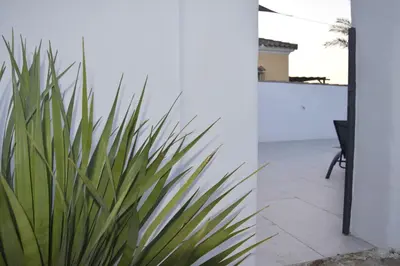 a green plant in front of a white wall at Villas Noah in Chiclana de la Frontera