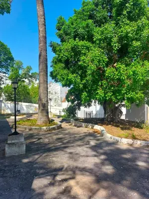 a street with a palm tree and a street light at Apartamento Jardines de la Duquesa con garaje in Sanlúcar de Barrameda