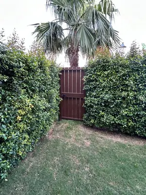 a privacy fence with a palm tree behind it at LA CASA DE LOS PATOS Jardines del lago in Costa de Sanlúcar