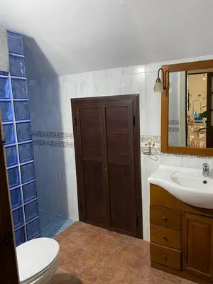 a bathroom with a sink and a toilet and a mirror at Casa Rural El Almendrillo in Arcos de la Frontera