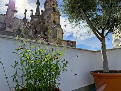 a plant in a pot in front of a building at Apartamento San Miguel - Ole Solutions in Jerez de la Frontera