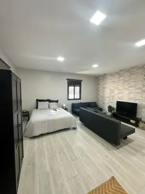 a bedroom with a bed and a couch and a television at Alojamiento Carlota in Chiclana de la Frontera