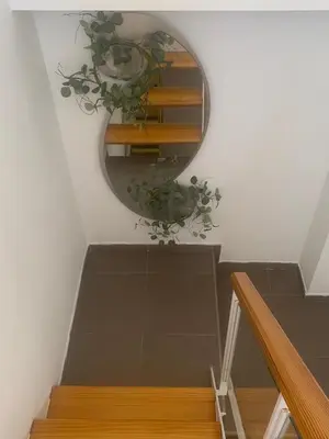 a circular mirror on a wall with a plant at Sanlúcar mar in Sanlúcar de Barrameda