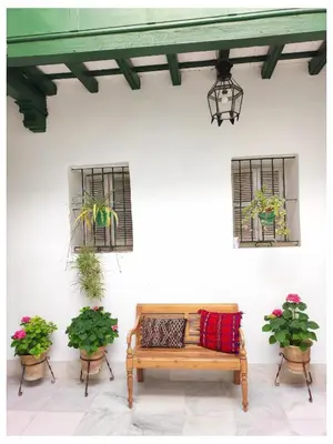 a bench in a courtyard with two windows and potted plants at LA BARAKA APARTAMENTO in Jerez de la Frontera