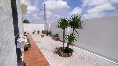 a courtyard with potted plants and a white wall at villa rana verde in Chiclana de la Frontera
