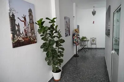 a potted plant in a hallway with paintings on the wall at Bienvenidos a San Miguel in Jerez de la Frontera