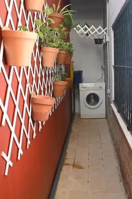 a laundry room with potted plants on a wall at Bienvenidos a San Miguel in Jerez de la Frontera