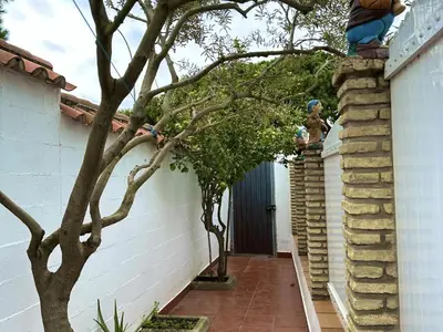 a man standing on the side of a house next to a tree at Casita en La Barrosa, Complejo Atlántico in Chiclana de la Frontera