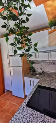 a kitchen with a plant on the counter at Kalma Vivienda vacacional la barrosa Chiclana Cadiz in Chiclana de la Frontera