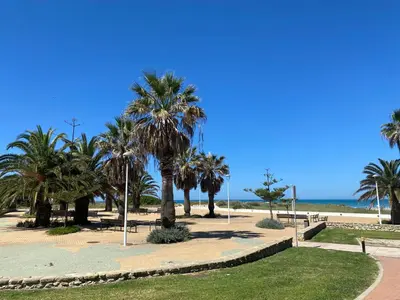 a park with palm trees and the beach at Apartamento a pie de playa in Rota