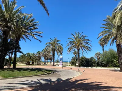 a road with palm trees in a park at Apartamento a pie de playa in Rota