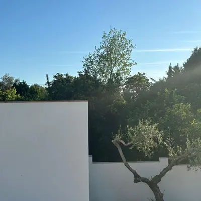 a tree in front of a white wall at Casa Santos Arcos vistas y parking privado in Arcos de la Frontera