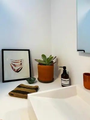 a bathroom counter with a sink and a potted plant at Casa Santos Arcos vistas y parking privado in Arcos de la Frontera