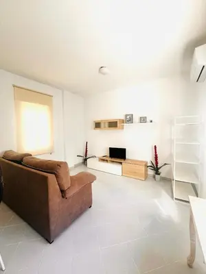 a living room with a couch and a television at PISO CENTRO HISTÓRICO 3 DORMITORIOS in Jerez de la Frontera