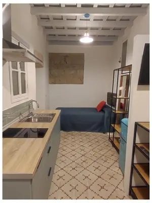 a kitchen with a sink and a couch in a room at La Baraka Apartamentos 2 in Jerez de la Frontera
