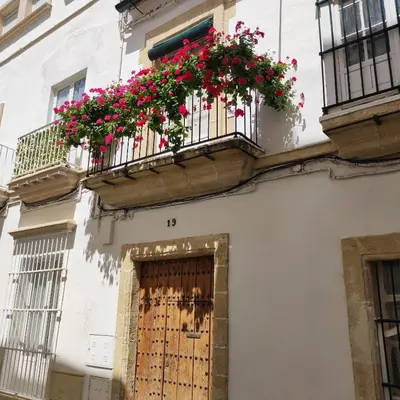 a building with a balcony with geraniums on it at La Baraka Apartamentos 2 in Jerez de la Frontera