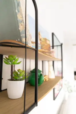 a shelf with a plant and a pot on it at Casa Amelí by Gades Gestión in Cádiz