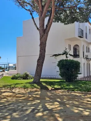 a tree in front of a white building at Apartamento bajo Acuario in Chiclana de la Frontera